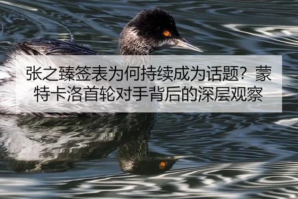 张之臻签表为何持续成为话题？蒙特卡洛首轮对手背后的深层观察